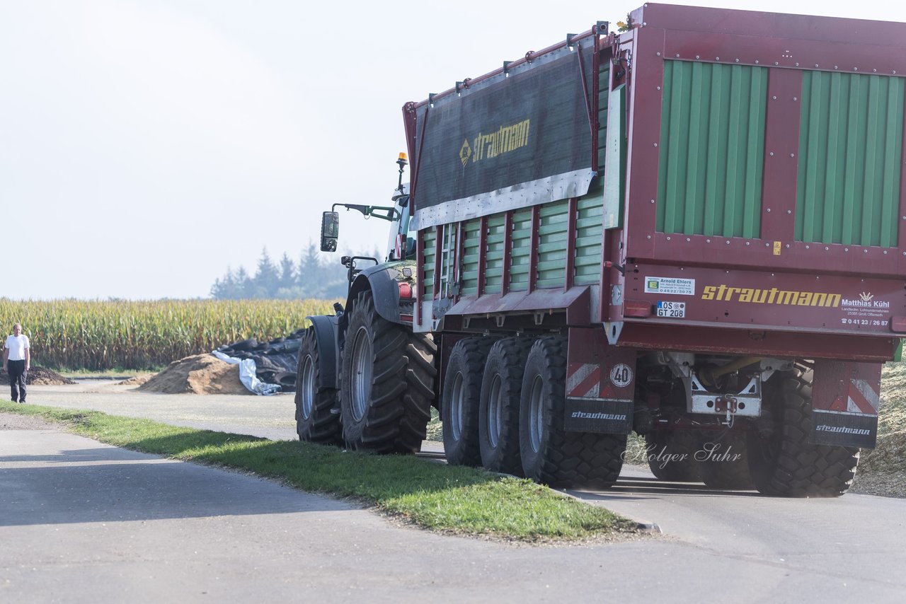 Bild 176 - Maisernte